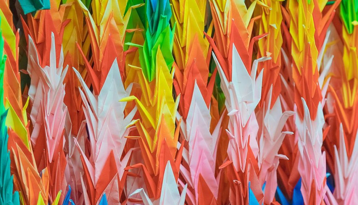 rainbow-poligami